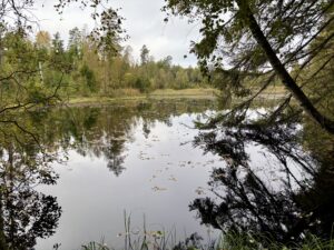 Berättelser runt Älgadammen var promenadtema